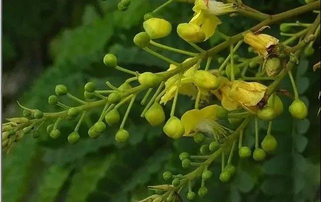 微信图片_20191126095311.jpg 微信图片_20191126095311.jpg