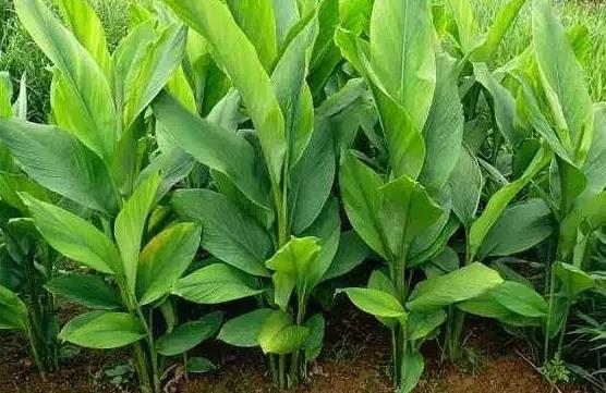 微信图片_20191223090831.jpg 微信图片_20191223090831.jpg